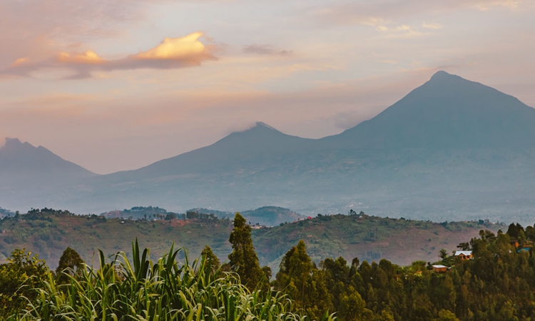 2-Day Karisimbi Climbing Highlights